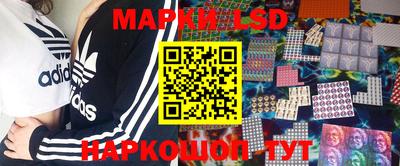 ПСИЛОЦИБИНОВЫЕ ГРИБЫ Гатчина